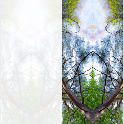 Postkarten / Postcards